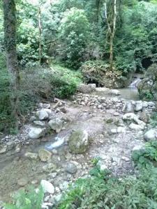 Uschelye Gagripsh - 11