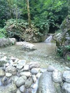 Uschelye Gagripsh - 12