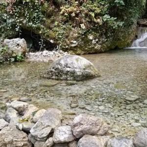 Uschelye Gagripsh - 32