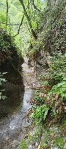 Uschelye Gagripsh - 17