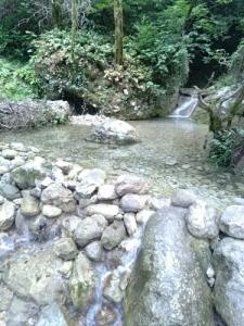 Uschelye Gagripsh - 13