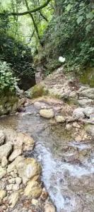 Uschelye Gagripsh - 15