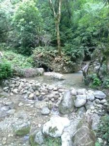 Uschelye Gagripsh - 22