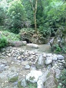 Uschelye Gagripsh - 10