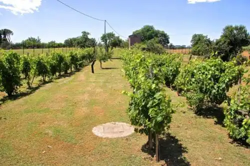 Capo di Bove - 11