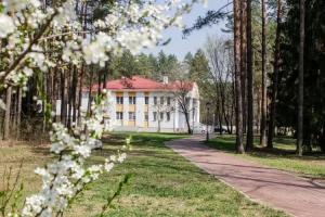 OK Ogonek Hotel, Volma