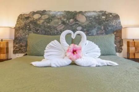 Fern Grotto Inn - 46