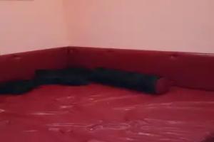 Hostel Fligel, Krasnoyarsk