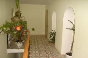 Studio Rezhans, Simferopol