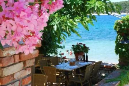 Villa Barbat - 18