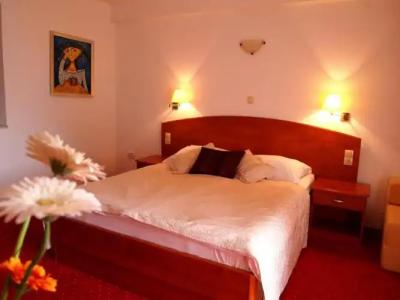 Villa Barbat - 37