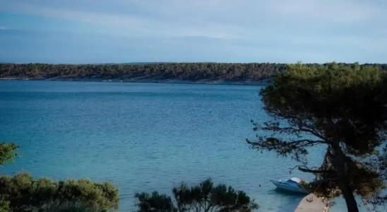 Villa Barbat - 16