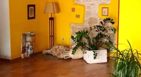 Villa Barbat - 1