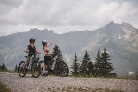 DAS EDELWEISS - Salzburg Mountain Resort - 29