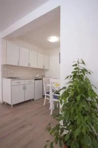 Apartments Grand - 66