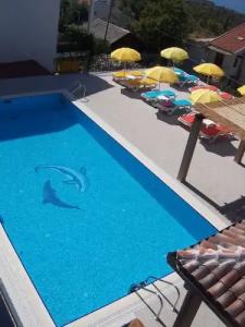 Apartments Grand - 61