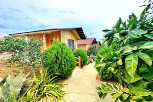 U Soni Guest House, Psyrdzha