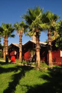 Dream Park Bungalow Otel - 7