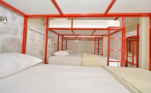 Hostel Pupa - 3
