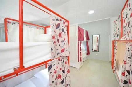 Hostel Pupa - 17