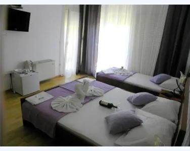 Guesthouse Maslina - 12