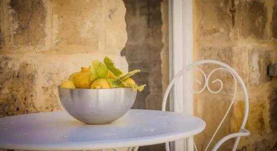 Lemon Tree Relais by CX Collection - 11