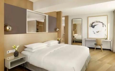 Hyatt Regency Paris Etoile - 95