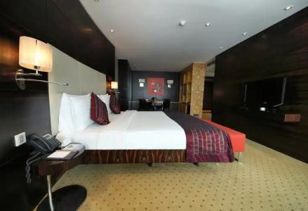 Grand Ankara Convention Center - 87