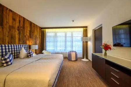 Bedriska Wellness Resort & Spa - 139