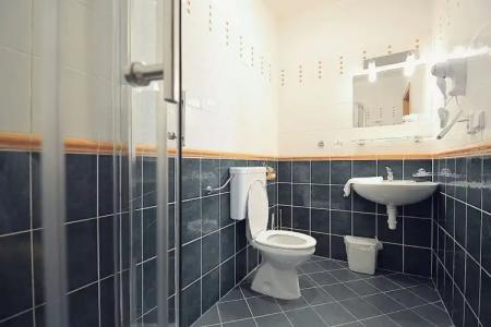Bedriska Wellness Resort & Spa - 47