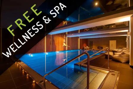 Bedriska Wellness Resort & Spa - 19
