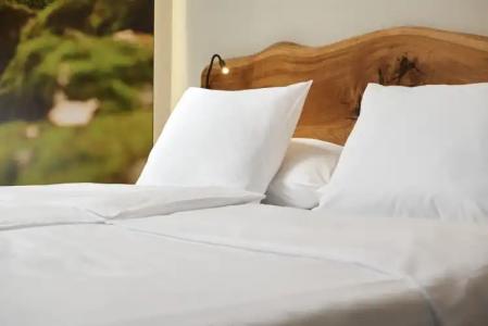 OREA Resort Horal Špindlerův Mlýn - 1