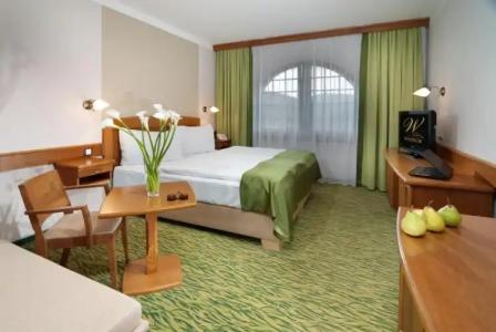 Wellness Windsor - 67