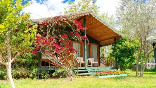 ETENNA BEACH BUNGALOWS - 27