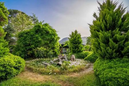 ETENNA BEACH BUNGALOWS - 24