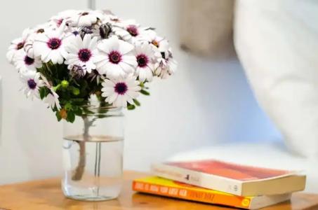 Paydos Pansiyon - 22