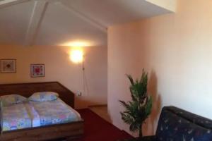 Family Hotel Zelenika, Varna