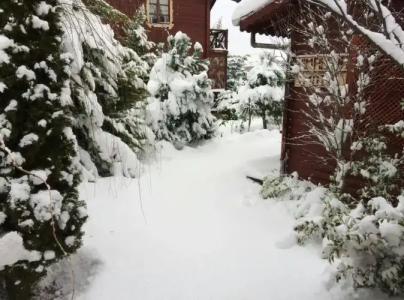 Agva Himalaya Motel - 5