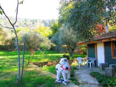 Sirince Kucuk Ciftlik Bungalow Evleri - 10