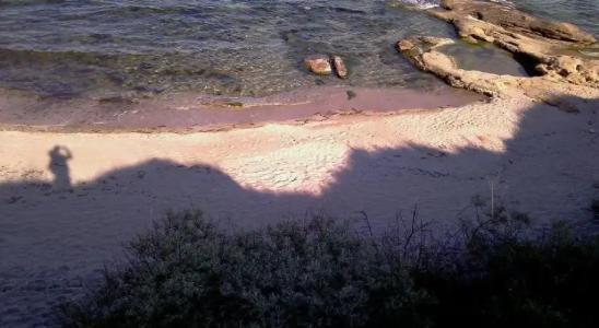 Laguna Beach - 15
