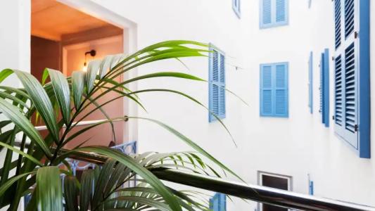 AX the Saint John - 20