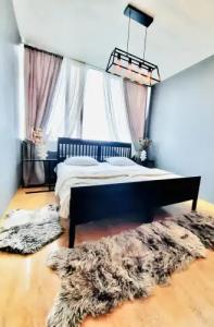 Bus Hostel Reykjavik - 4