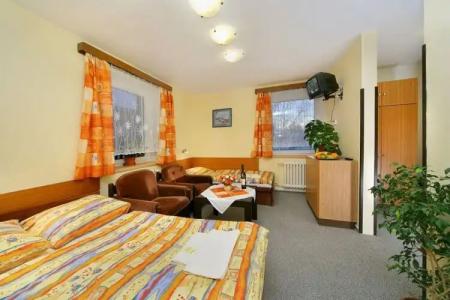 Stary Mlyn - 2