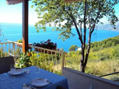 Guest House Vineyard oaza - 15