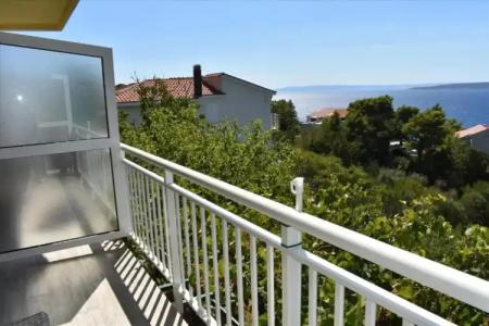 Guest House Vineyard oaza - 32