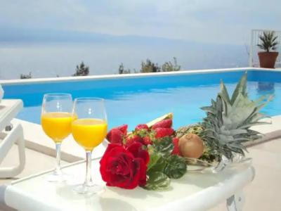 Guest House Vineyard oaza - 7