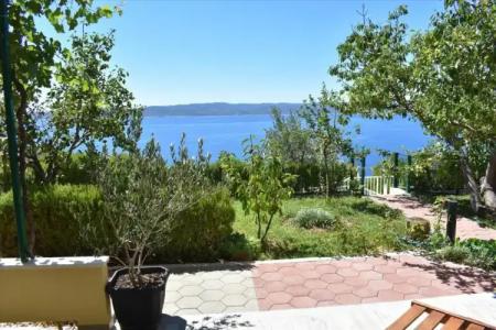 Guest House Vineyard oaza - 71