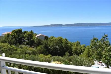 Guest House Vineyard oaza - 44