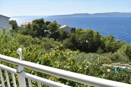 Guest House Vineyard oaza - 31