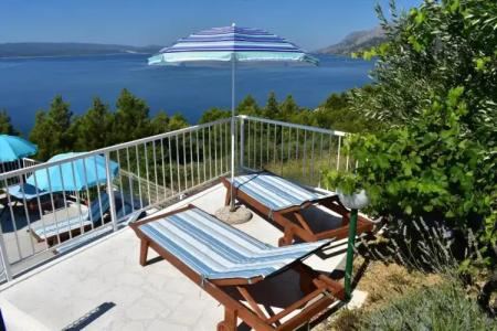 Guest House Vineyard oaza - 76